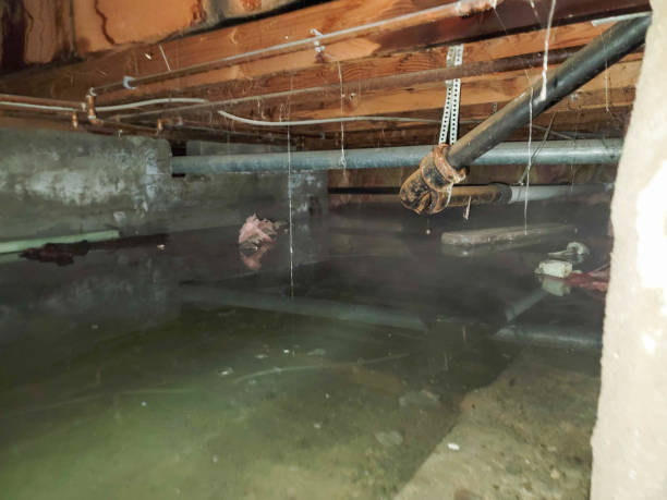 Best Residential water damage restoration  in Hide A Way Lake, MS