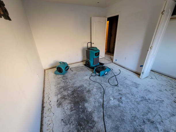 Best Water damage cleanup near me  in Hide A Way Lake, MS