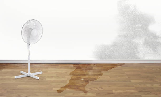 Best 24-hour water damage restoration  in Hide A Way Lake, MS