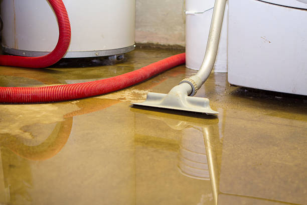 Best Flood damage cleanup  in Hide A Way Lake, MS