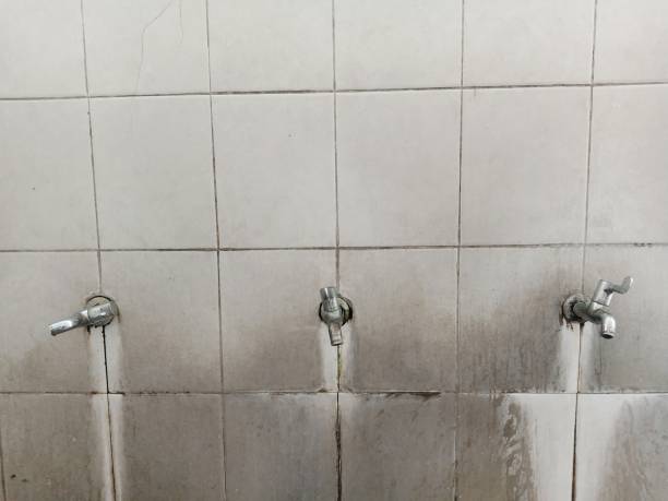 Best Mold removal after water damage  in Hide A Way Lake, MS